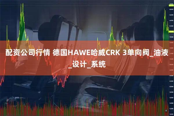 配资公司行情 德国HAWE哈威CRK 3单向阀_油液_设计_系统